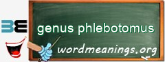 WordMeaning blackboard for genus phlebotomus